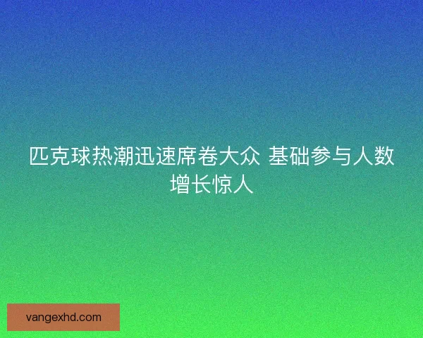 匹克球热潮迅速席卷大众 基础参与人数增长惊人